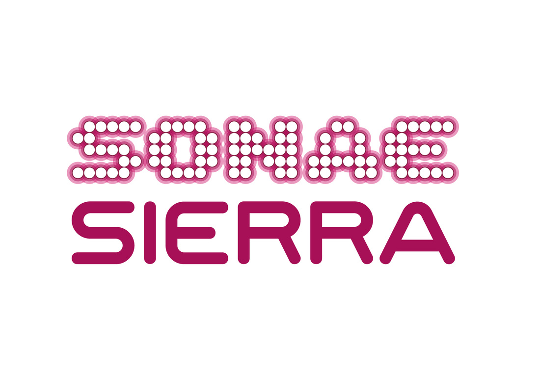 logótipo Sonae Sierra portugal