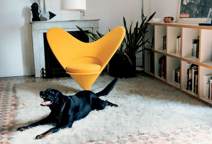 Heart Cone Chair da Vitra numa sala com um cão 