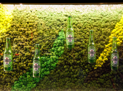 Heineken em decoração de jardim vertical